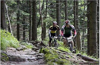 L'actu VTT du 1er février glacencis.JPG