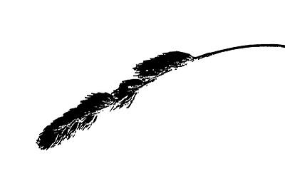 DADDY - ((v.d)) DADDY - ((v.d))