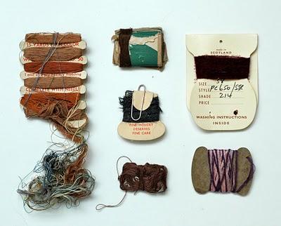 A COLLECTION A DAY BY LISA CONGDON
