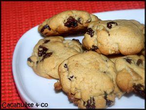 cookie_noix_raisins_2