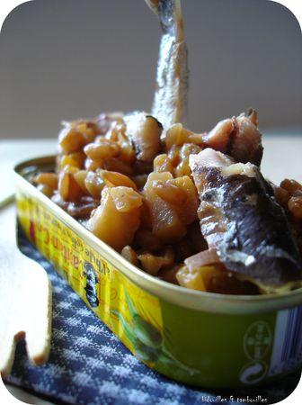 °épautre, citron confit, céleri & sardine° risotto__aputre_c_leri_citron_sardine_150110