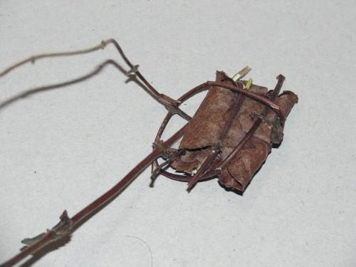 TAGGUEE ! KIF_1436.JPG