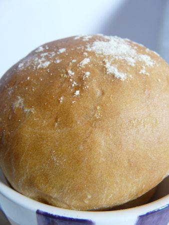 Petits pains briochés P1050052