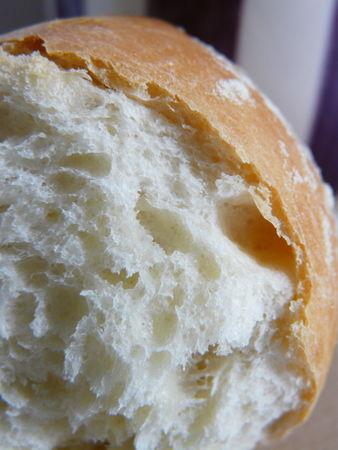 Petits pains briochés P1050065