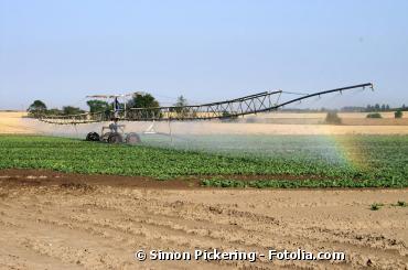 Agriculture : une réduction de 30 % des pesticides serait possible