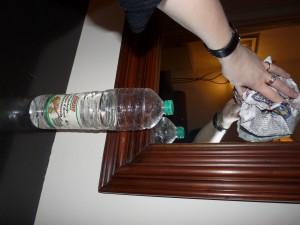 p1020214 p1020214 300x225 Le 1er truc des Miss au vert : le lave vitre écolo