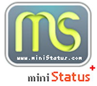 miniStatus, pour tout savoir sur un site