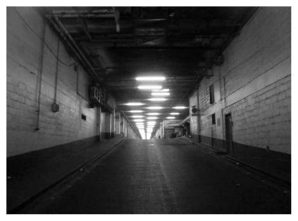 Rue du Javelot.