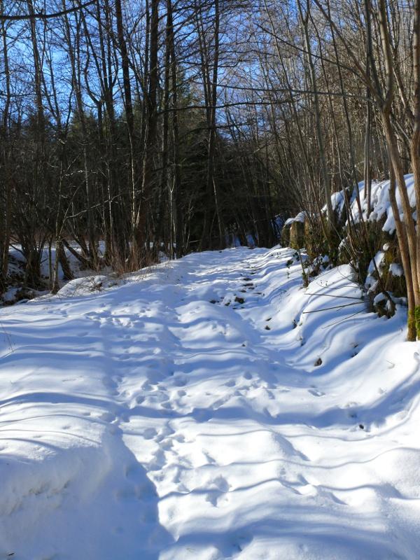 2028 un si loooong dimanche