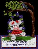 Petits pains croustillants a l’orge de Sourour Petits pains croustillants a l’orge de Sourour