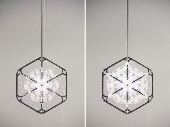 morning_glory_3 La gloire du matin