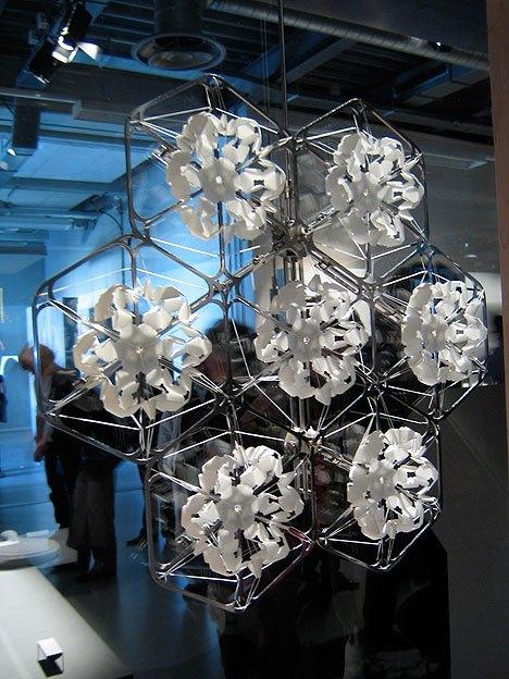 legro_morning_glory_off La gloire du matin