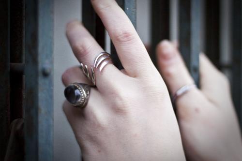 IMG_1088 Shutter… it’s a mystery