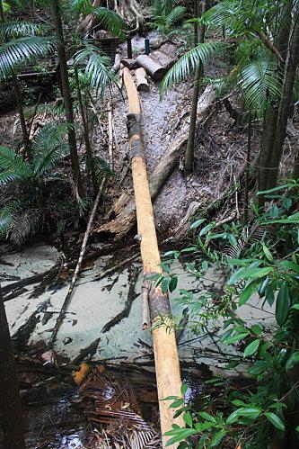 Fraser-Island 3432