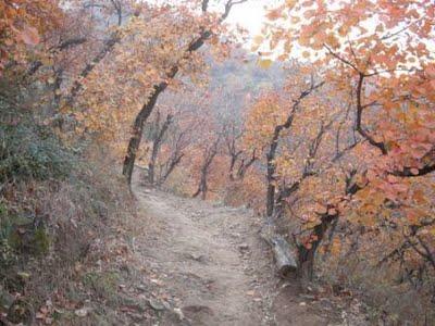Des Montagnes Qui Sentent Bon Des Montagnes Qui Sentent Bon