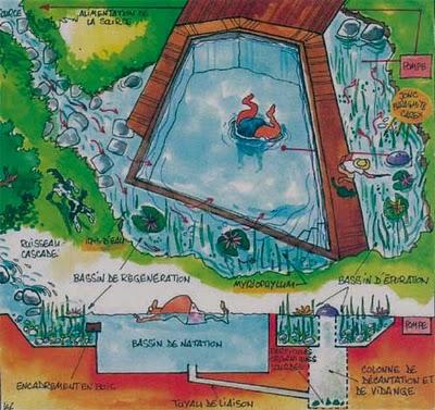 Les piscines écologiques