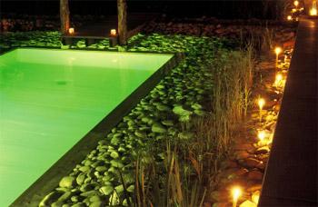 Les piscines écologiques