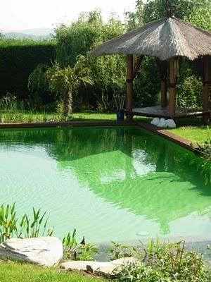 Les piscines écologiques