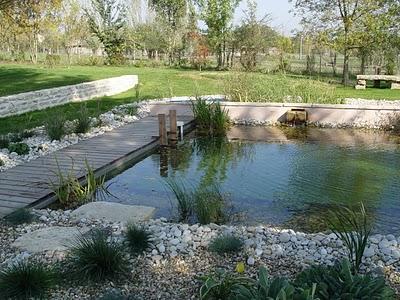 Les piscines écologiques