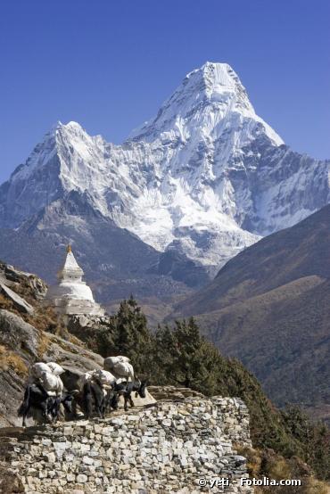 Réchauffement climatique : Les glaciers de l'Himalaya n'auront pas disparu en 2035 !