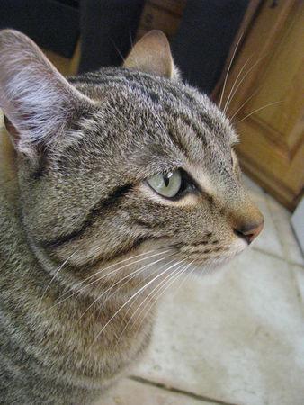 Une fête d’anniversaire trop trop bien (1)! IMG_0041