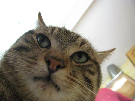 Une fête d’anniversaire trop trop bien (1)! IMG_0047