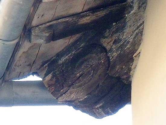 Li fusto escultado 18 664332776.jpg
