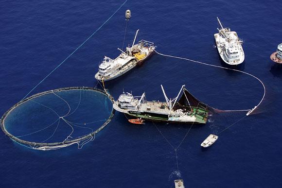 Turkish Tuna Fishermen