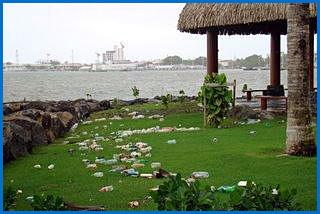 Tahiti après le cyclone Oli tahiti-jardins-paofai.1265807669.jpg