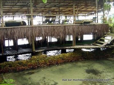 Un Paradis Carioca: Ilha do Breu Un Paradis Carioca: Ilha do Breu