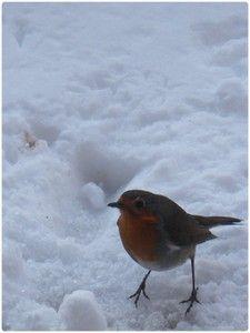 GLAGLA ... #2 DSCF2892b