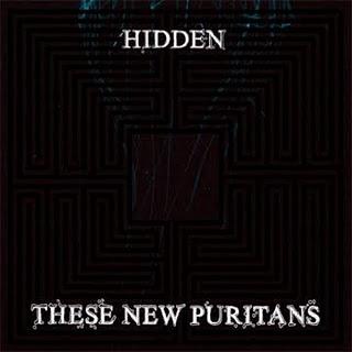 These New Puritains - Hidden (2010)