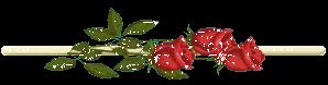 VIS barrettes avec rose