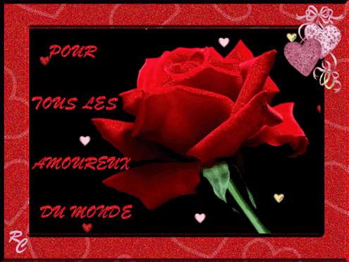 VIS amour_230