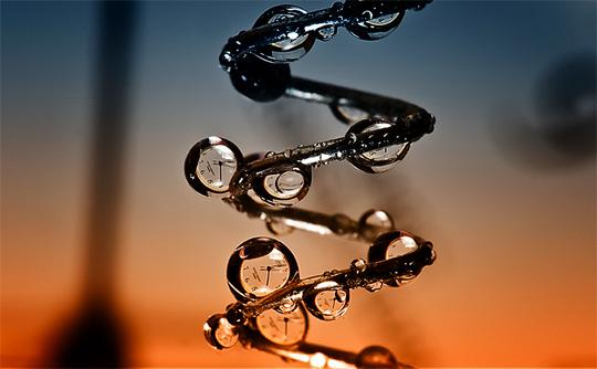 http://webdesignledger.com/wp-content/uploads/2010/01/macro_photography_36.jpg