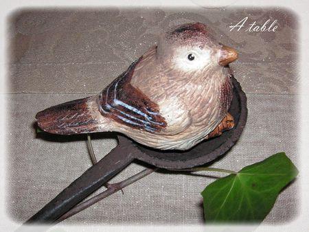 Le temps qui passe.... et_c_est_le_temps_qui_coure