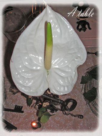 Le temps qui passe.... et_c_est_le_temps_qui_coure