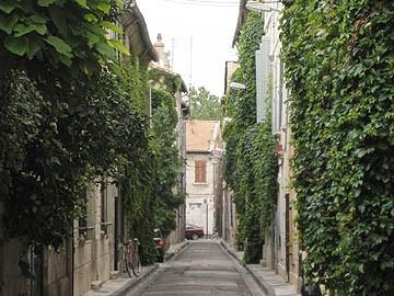 La vie rêvée des plantes La vie rêvée des plantes