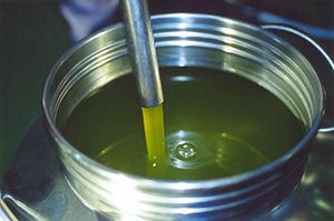Pain complet croustillant a l'huile d'olive