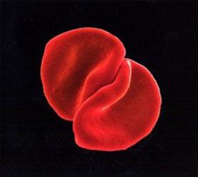 Peter Gabriel peter-gabriel.jpg