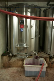 cuve inox remontage actualite  Rencontre avec Alain Chabanon du domaine éponyme au salon millésime bio.