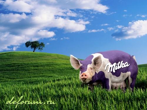 Milka-Cochon.jpg