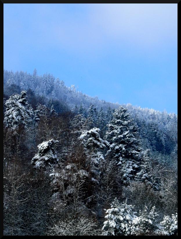 0052 le brouillard s’en va