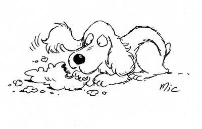 Vous n'en saurez pas plus Vous n'en saurez pas plus