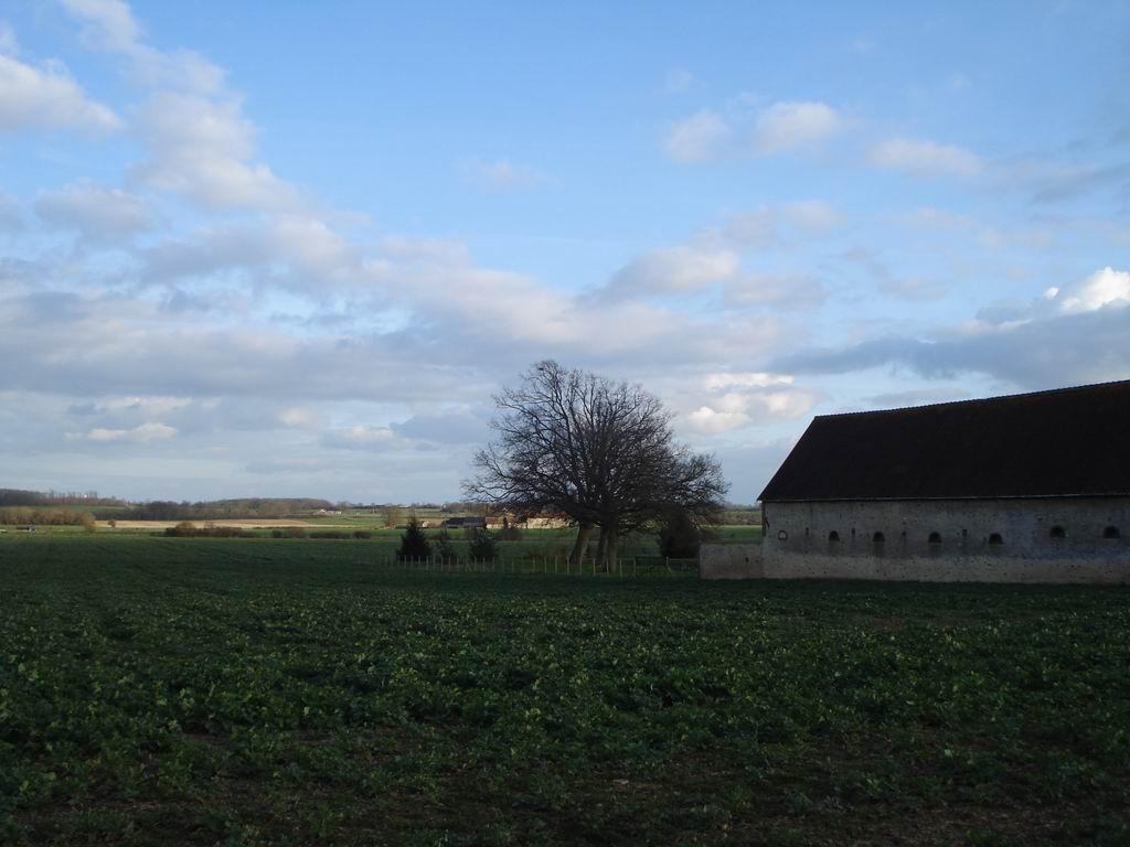 Cieux du Perche Cieux du Perche