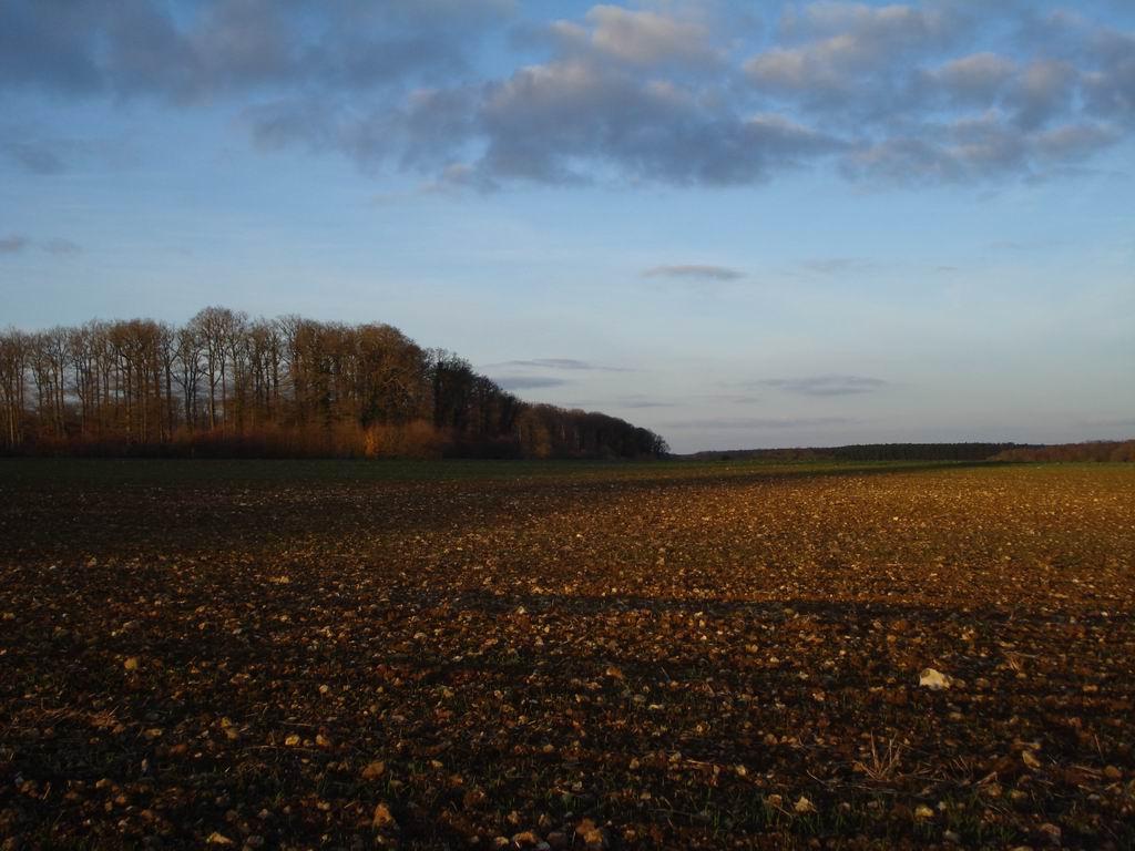 Cieux du Perche Cieux du Perche