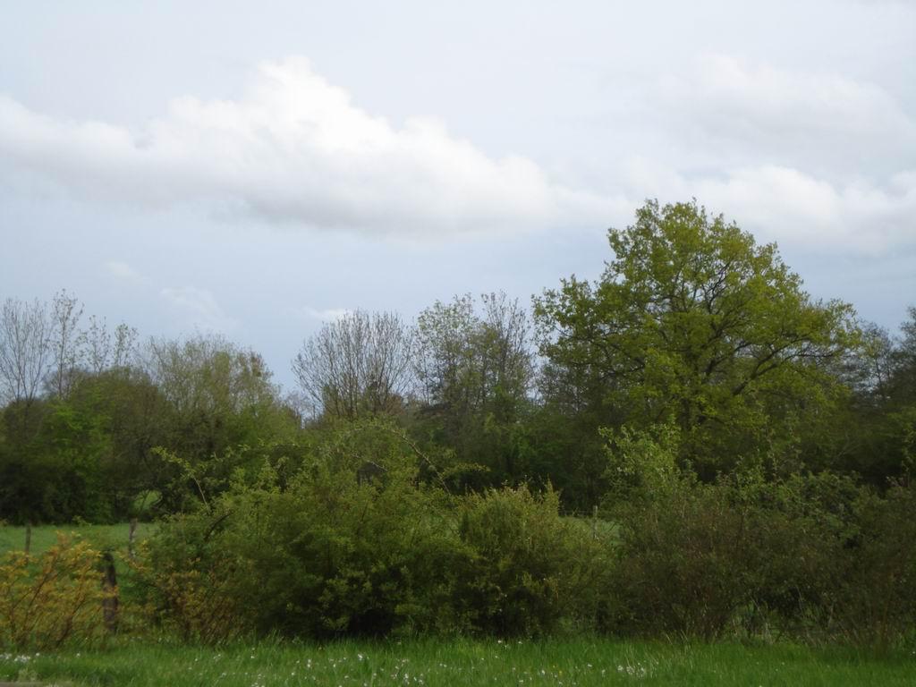 Cieux du Perche Cieux du Perche