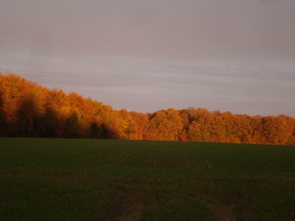 Cieux du Perche Cieux du Perche