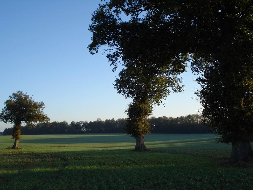 Cieux du Perche Cieux du Perche