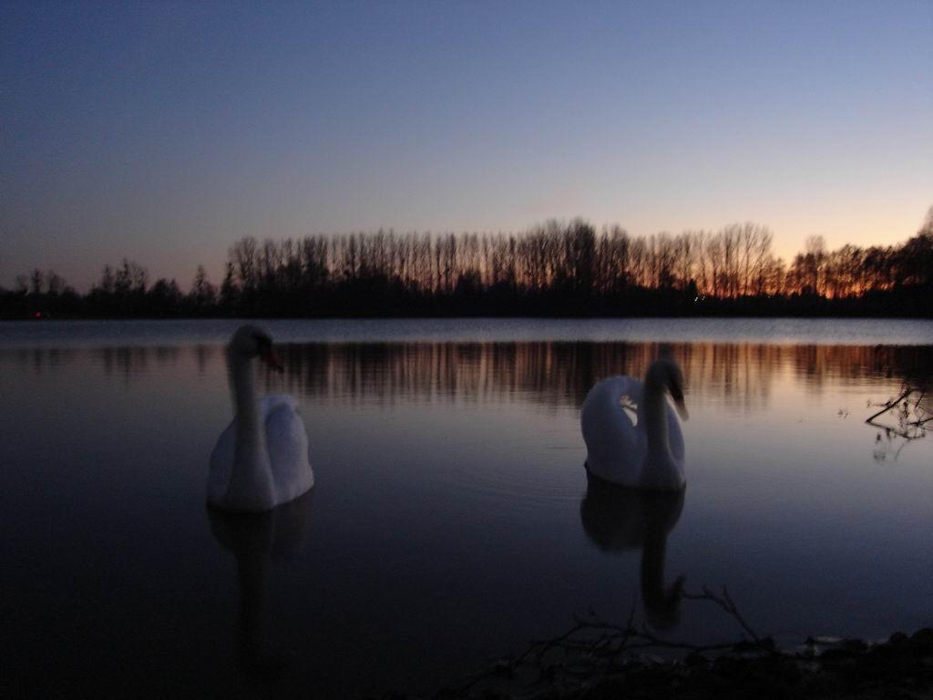 Cieux du Perche Cieux du Perche